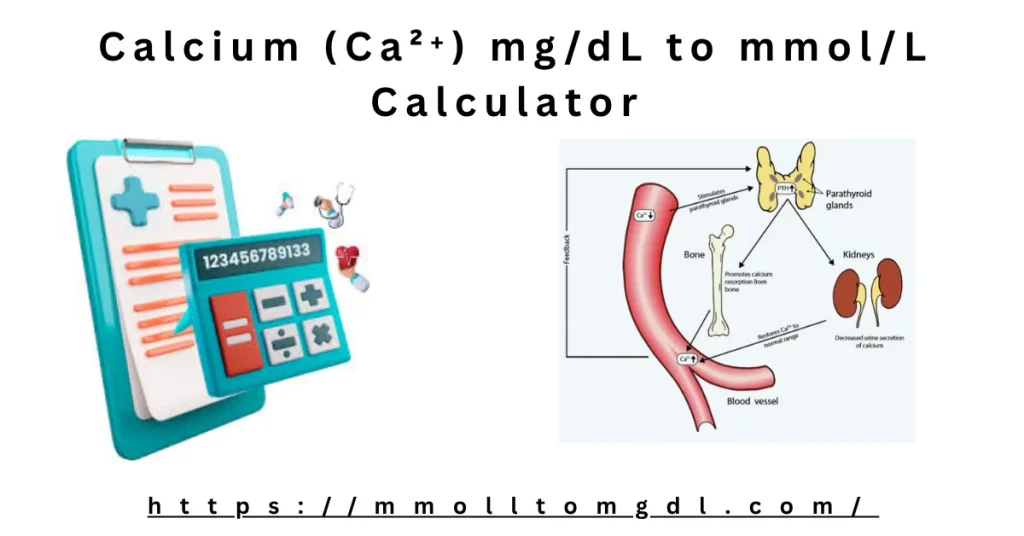 Calcium (Ca²⁺) mg/dL to mmol/L Calculator – Serum Calcium Converter