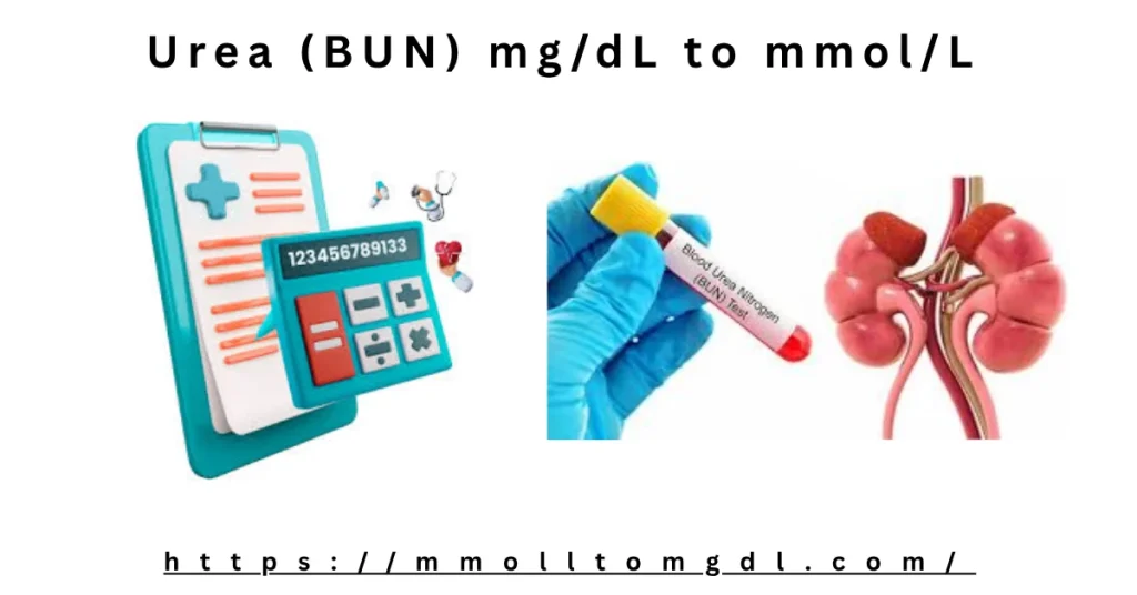 Urea (BUN) mg/dL to mmol/L Calculator – Accurate Kidney Test Converter