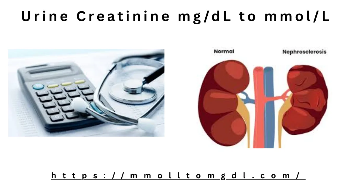 Urine Creatinine mg/dL to mmol/L Conversion Clinical Calculator & Formula — free download