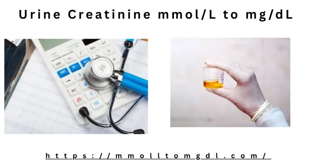 Urine Creatinine mmol/L to mg/dL Conversion – Accurate Laboratory Calculator
