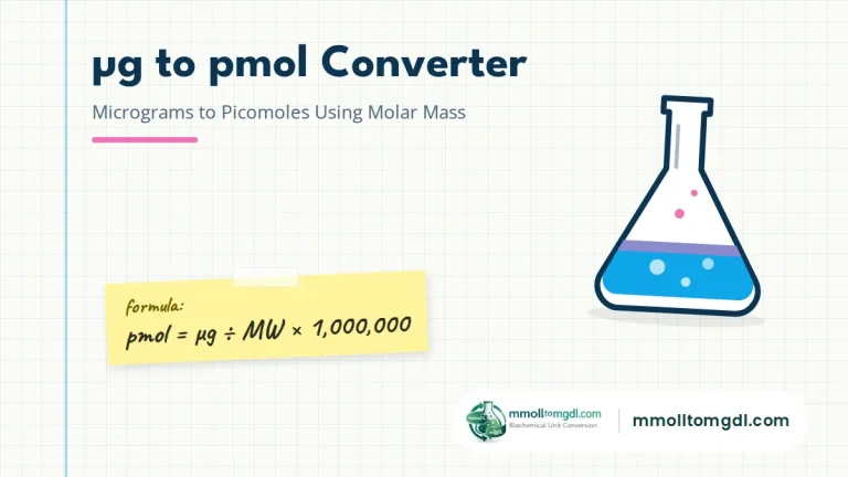 ug to pmol Converter – Micrograms to Picomoles Using Molar Mass